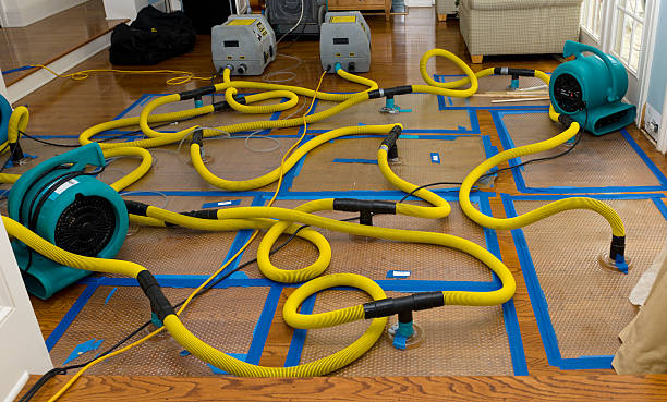 Professional Water Damage Restoration technician working in Eustis, ME